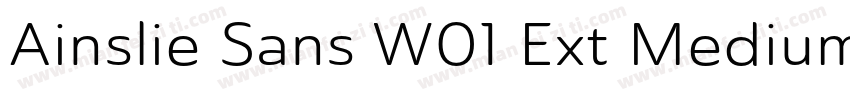 Ainslie Sans W01 Ext Medium字体转换